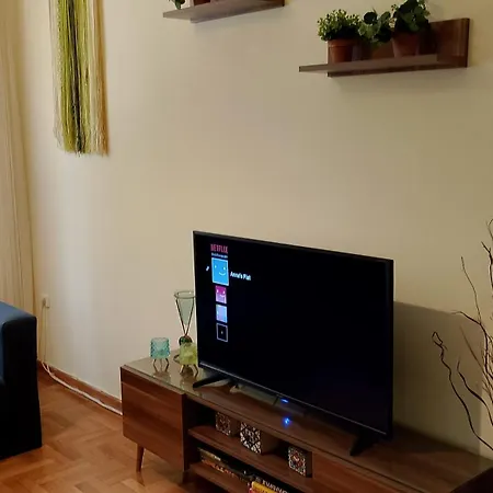 Anna's Flat * Волос